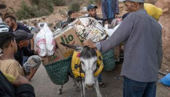 نقل إمدادات على الحمير إلى متضررين من الزلزال في المغرب (بولنت كيليتش/ فرانس برس)