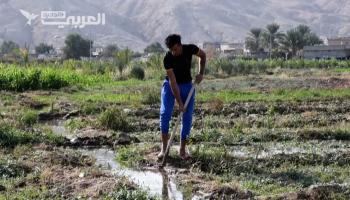 العراق يقرّ خطة زراعية تعتمد المياه الجوفية