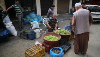 كميات من الزيتون المعروض للبيع في خان يونس قبل يومين من الحرب الإسرائيلية (مصطفى حسونة/ الأناضول)