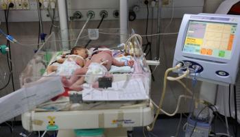 أطفال حديثو الولادة في مجمع الشفاء الطبي في غزة (محمد عابد/ فرانس برس)