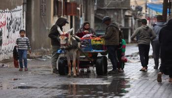  عربة لبيع الخضار في رفح جنوبيّ قطاع غزّة في 15/11/2023 (فرانس برس
