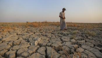 جفاف في العراق (أنمار خليل/ أسوشييتد برس)
