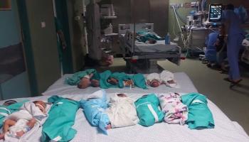 أطفال خدج بعد فصلهم عن الأجهزة في مجمع الشفاء الطبي في غزة (الأناضول)