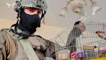 الاحتلال يحتفي بإطلاق سراح رهائن من "طيور الحسون" في نابلس