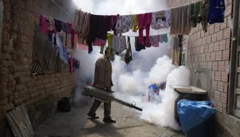 مكافحة البعوض حامل فيروس حمى الضنك في بوليفيا (خوان كاريتا/ أسوشييتد برس)