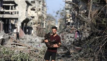 	 تتواصل حرب الإبادة على غزة منذ السابع من أكتوبر (مجدي فتحي/ Getty)  