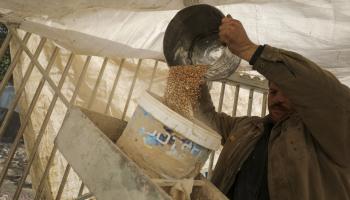 طحن حبوب في غزة لصنع دقيق بعد نفاد القمح (فرانس برس)