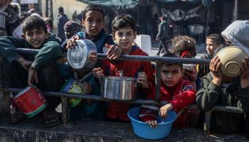 1.4 مليون فلسطيني في رفح يواجهون المجاعة