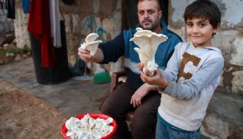 يبيعان الفطر في مخيم بمدينة حارم (عارف وتاد/ فرانس برس)