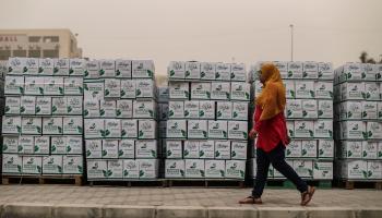 مساعدات مصر (محمد الشاهد/فرانس برس)
