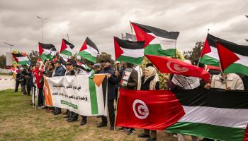 تظاهرة داعمة لغزة في تونس، يناير الماضي (ياسين القايدي/الأناضول)