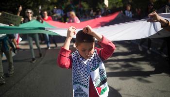 طفل يحمل علم فلسطين - القسم الثقافي