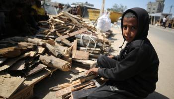 طفل فلسطيني يجمع الحطب من المنازل المهدمة للتدفئة أو الطهو (ياسر قديح/الأناضول)