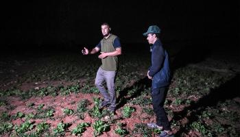 تأثرت المزارع الليبية بالظواهر البيئية (أوزان كوسي/فرانس برس)