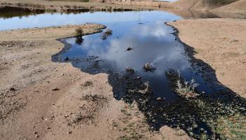 تلوث أراضي زراعية بالنفط في العراق (عبد الخالق السامرائي/فرانس برس)