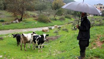 الزراعة في لبنان (الأناضول)