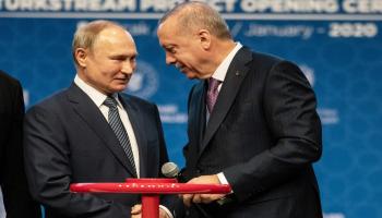 بوتين وأردوغان يدشنان السيل التركي (الأناضول)