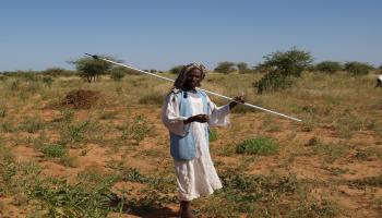 الزراعة في السودان (سيمون مارتيل/فرانس برس)