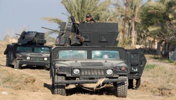 العراق/سياسة/معركة الأنبار/16-02-2016