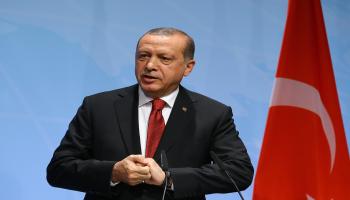 أردوغان/سياسة/تركيا (الأناضول)