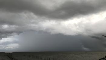 العاصفة شبه المدارية ألبرتو تقترب من السواحل الأميركية
