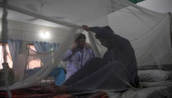 حمى الضنك في باكستان/مجتمع (عاصف حسن/ فرانس برس)