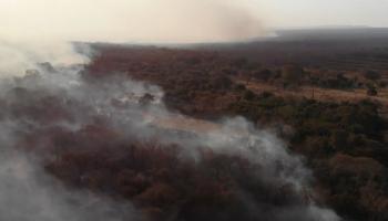 الحرائق دمرت مساحات شاسعة من غابات الأمازون (فرانس برس)