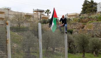 ثمار الصهيونية - ملحق فلسطين