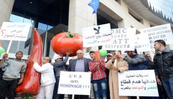 مغاربة يحتجون على قرار أوربي يعرقل صادرات الرباط الزراعية