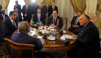 اجتماع سوداني مصري/سياسة
