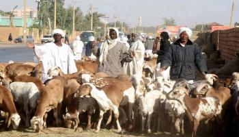 السودان-أضاحي السودان-أسواق-09-24(فرانس برس)