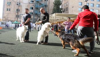 تربية الكلاب في عمان/العربي الجديد