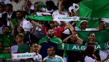 ترحيل مشجع جزائري من مصر بسبب لافتة سياسية