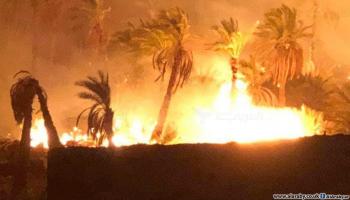 الحرائق المشتعلة في محافظة الوادي الجديد (العربي الجديد)