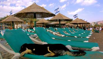 تراجع السياحة في إسرائيل