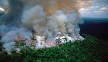 الحرائق تلتهم غابات الأمازون (تويتر)