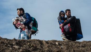 مهاجرون على الحدود التركية اليونانية - مجتمع