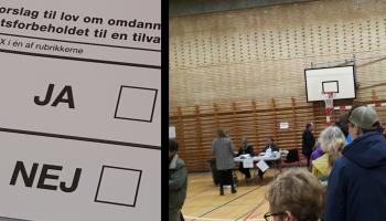 الاستفتاء الشعبي - دانمارك
