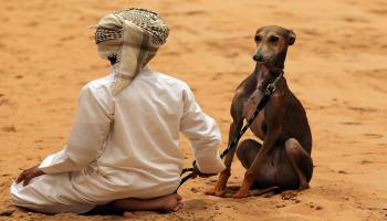 كلب في الإمارات - فرانس برس