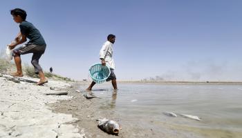 العراق/تلوث مياه البصرة/حيدر محمد علي/فرانس برس