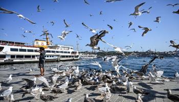 انتعاش السياحة التركية في موسم الصيف (فرانس برس)