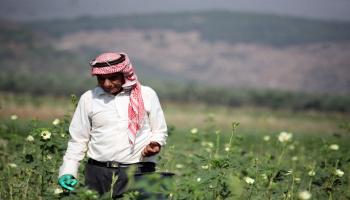 مزارع فلسطيني في الضفة الغربية/ فرانس برس