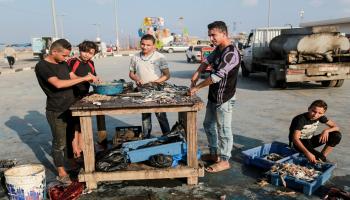 تنظيف الأسماك في غزة (عبد الحكيم أبو رياش)