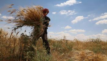 القمح في سورية-اقتصاد-5-6-2016 (Getty)