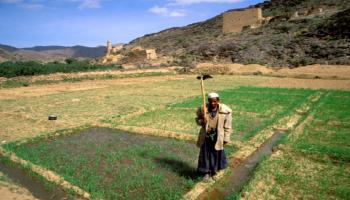 مزارع يمني