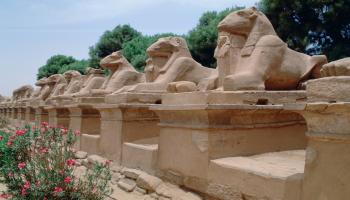 آثار مصرية /"طريق الكباش" في الأقصر (تيم غراهام/Getty)