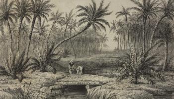 خطاطة لواحة تيوت، الجزائر، 1839 (Getty)