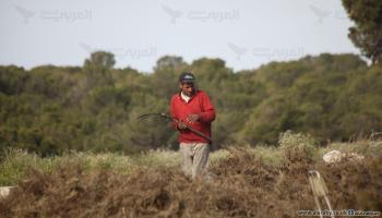 مزارع تونسي- العربي الجديد