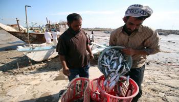 العراق-الصيد في العراق-أسماك العراق-18-1-فرانس برس