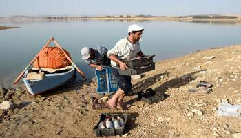 صيد السمك في تونس-اقتصاد-4-9-2016 (فرانس برس)